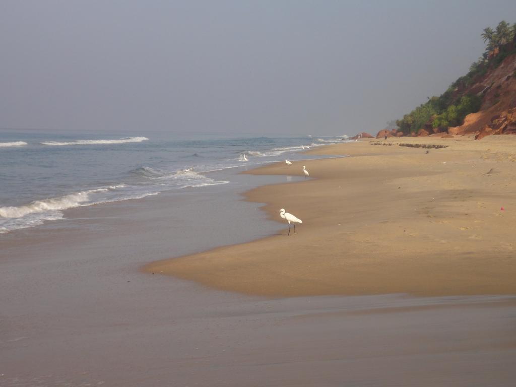 The Oceano Hotel Varkala Exterior photo